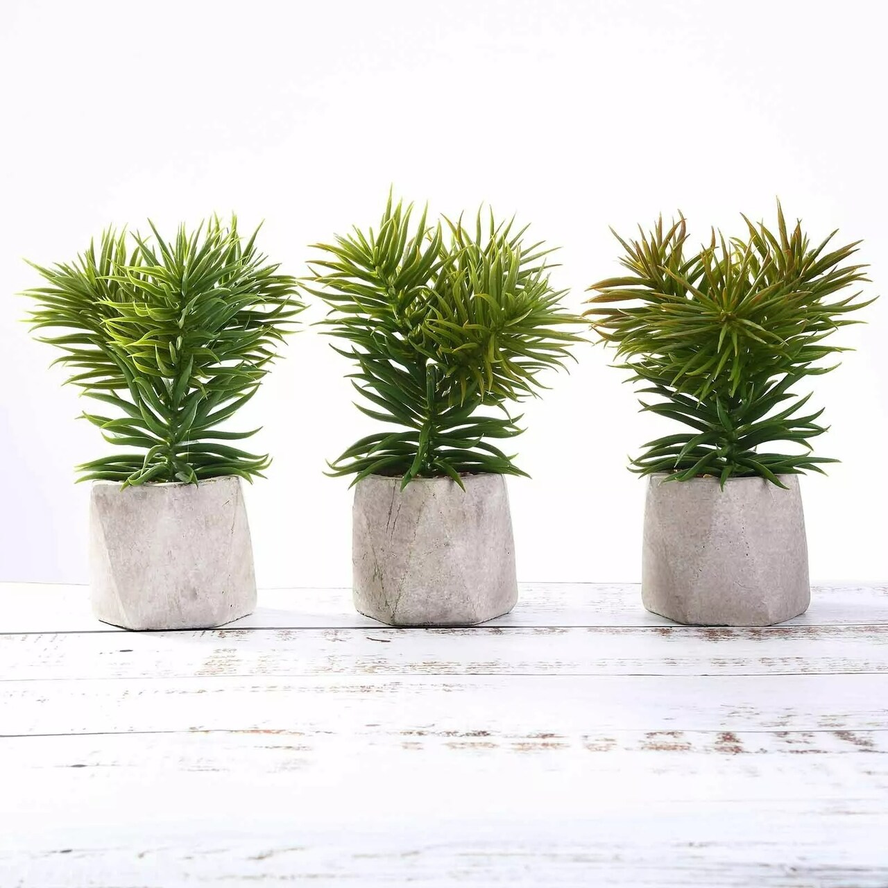Green 3 Assorted 8" Artificial Faux Cute Crassula Succulent Plants Pots